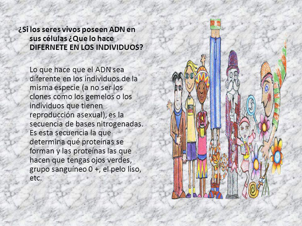 porque todos los seres vivos tienen adn